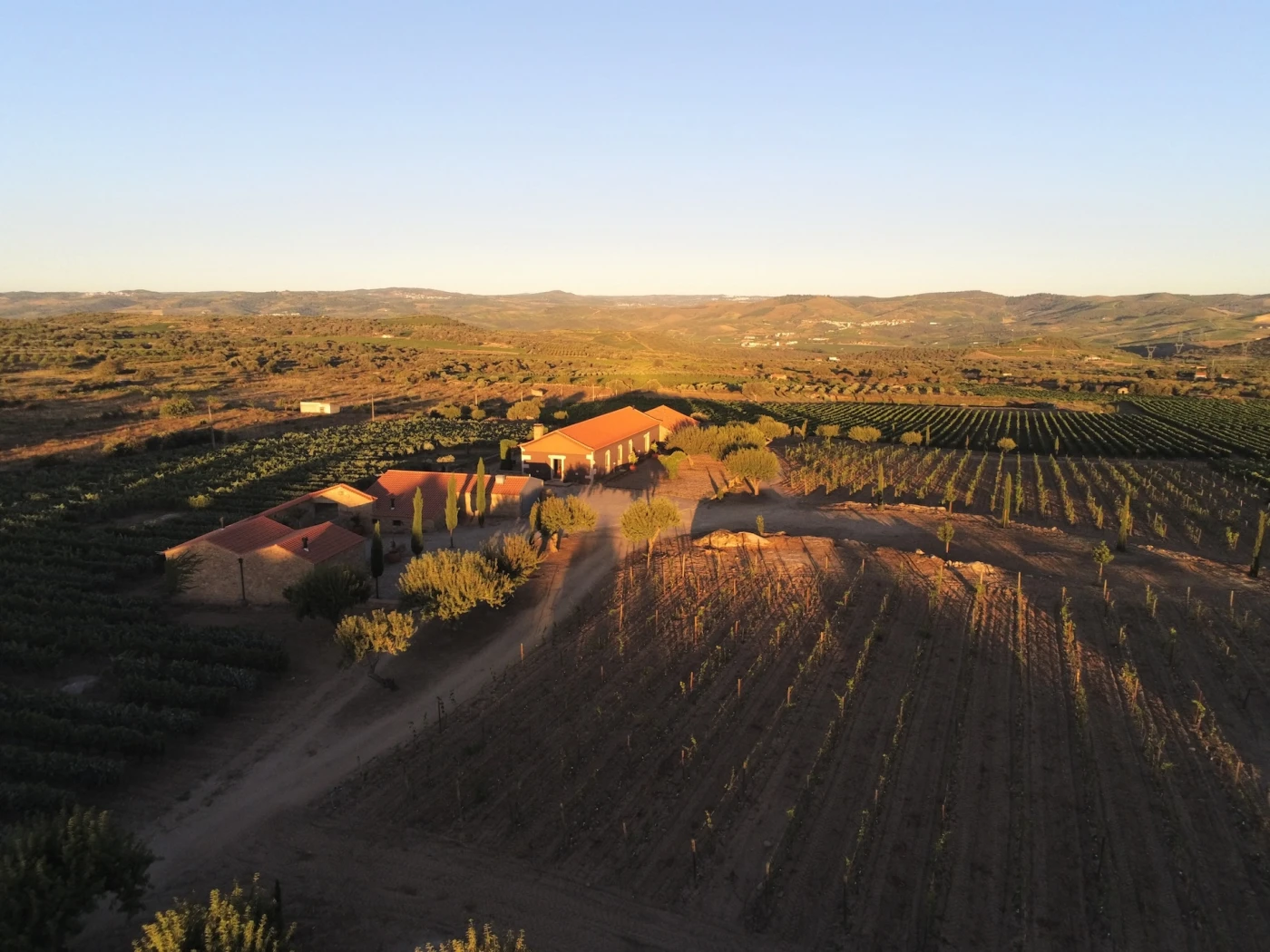 Quinta da Pedra Escrita