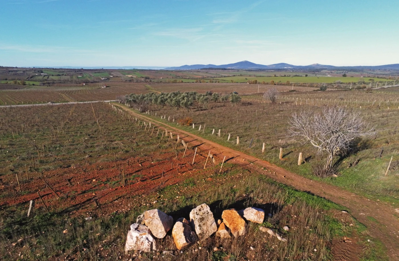 Quinta de Vale de Espinho