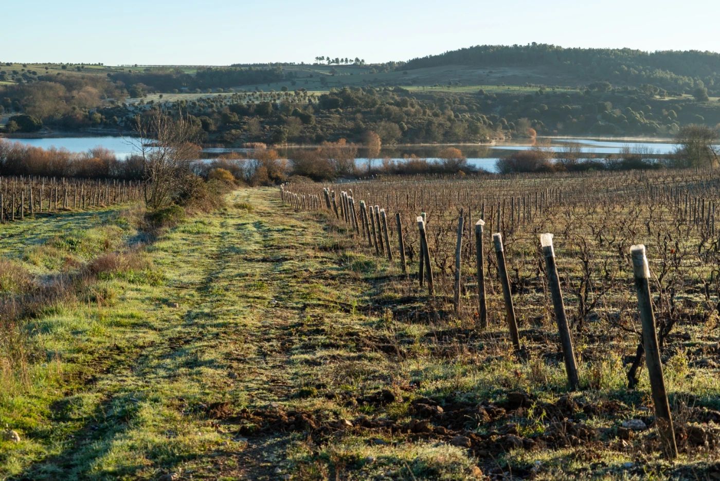 Quinta da Nave