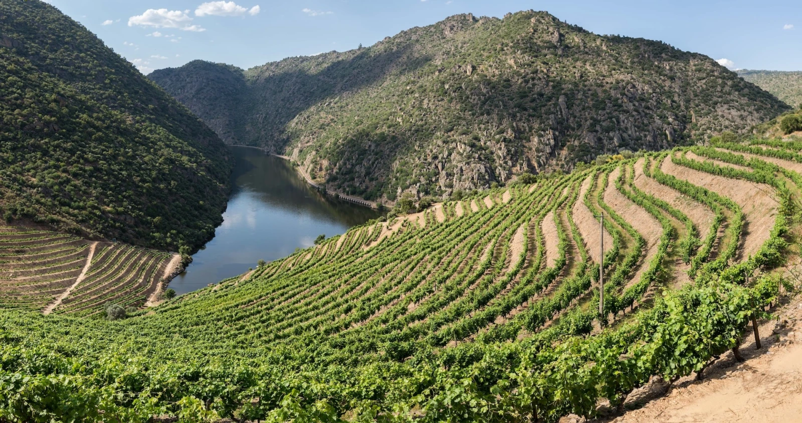 Douro