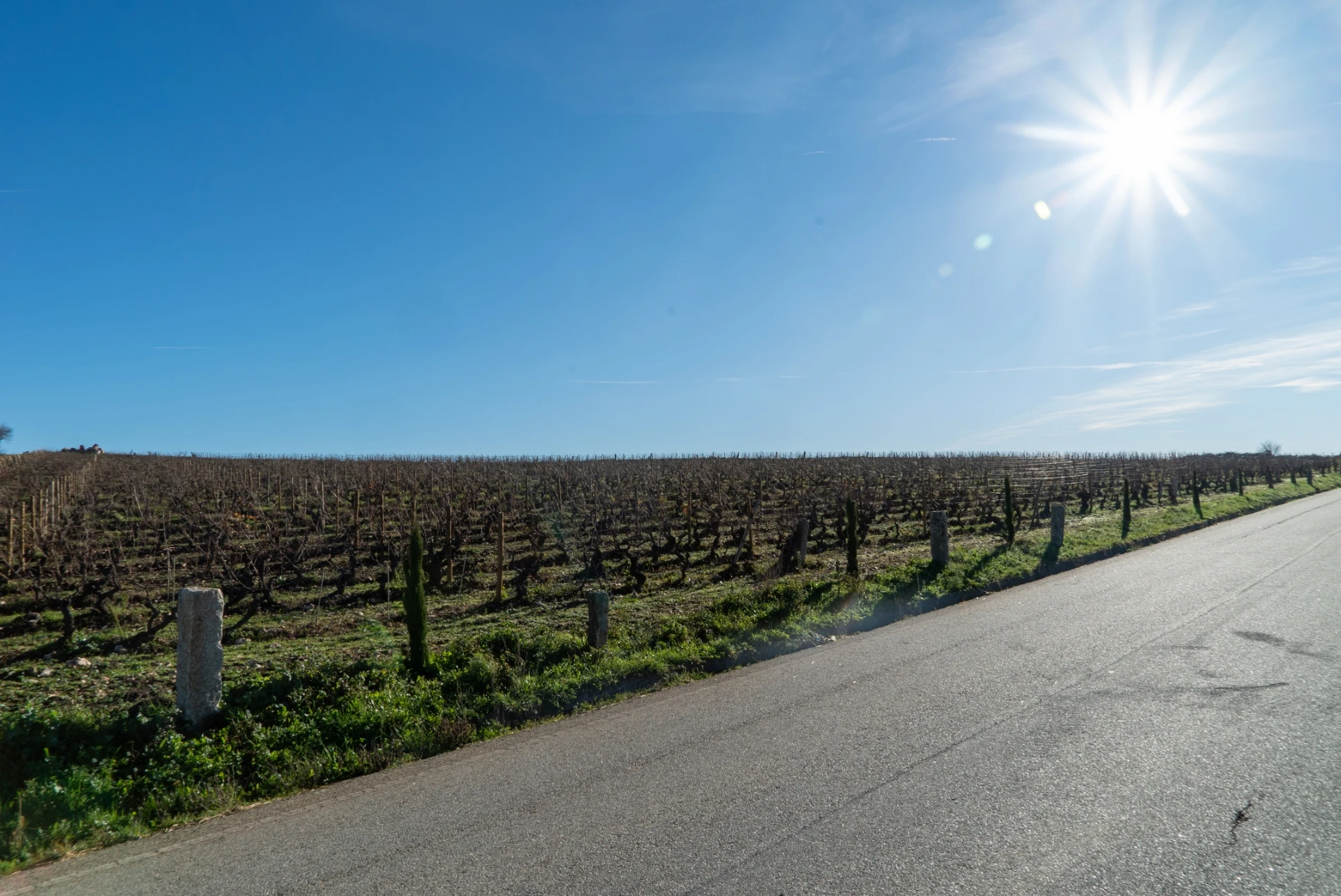 Quinta de Vale de Espinho