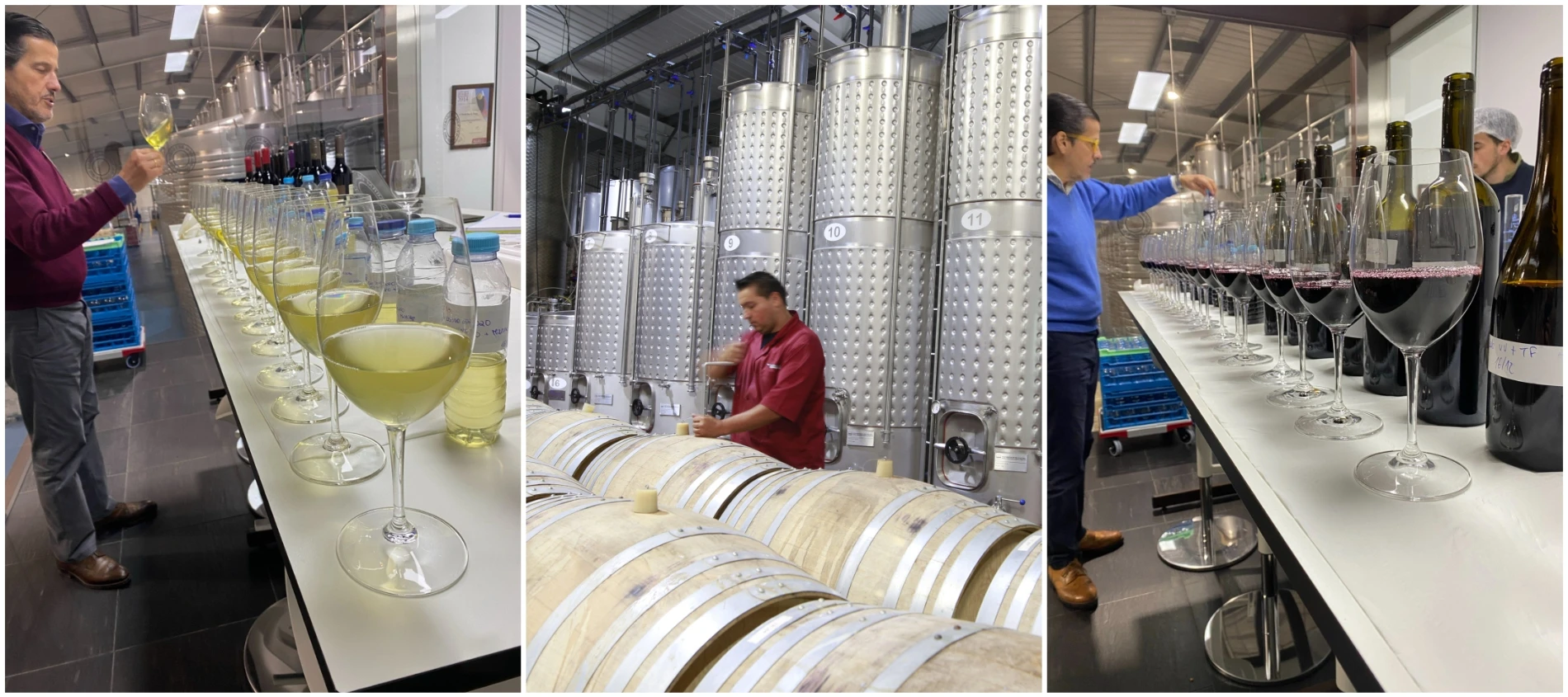 Opening of the new winery in S. João da Pesqueira