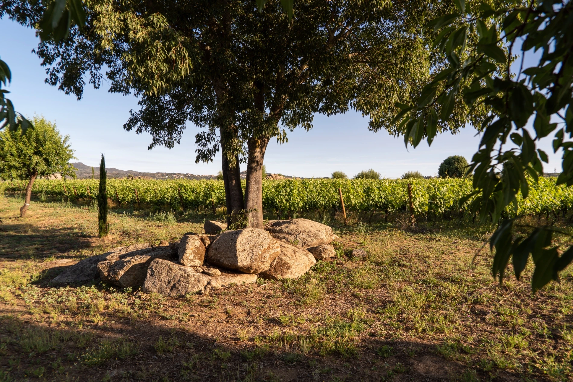 Quinta da Pedra Escrita