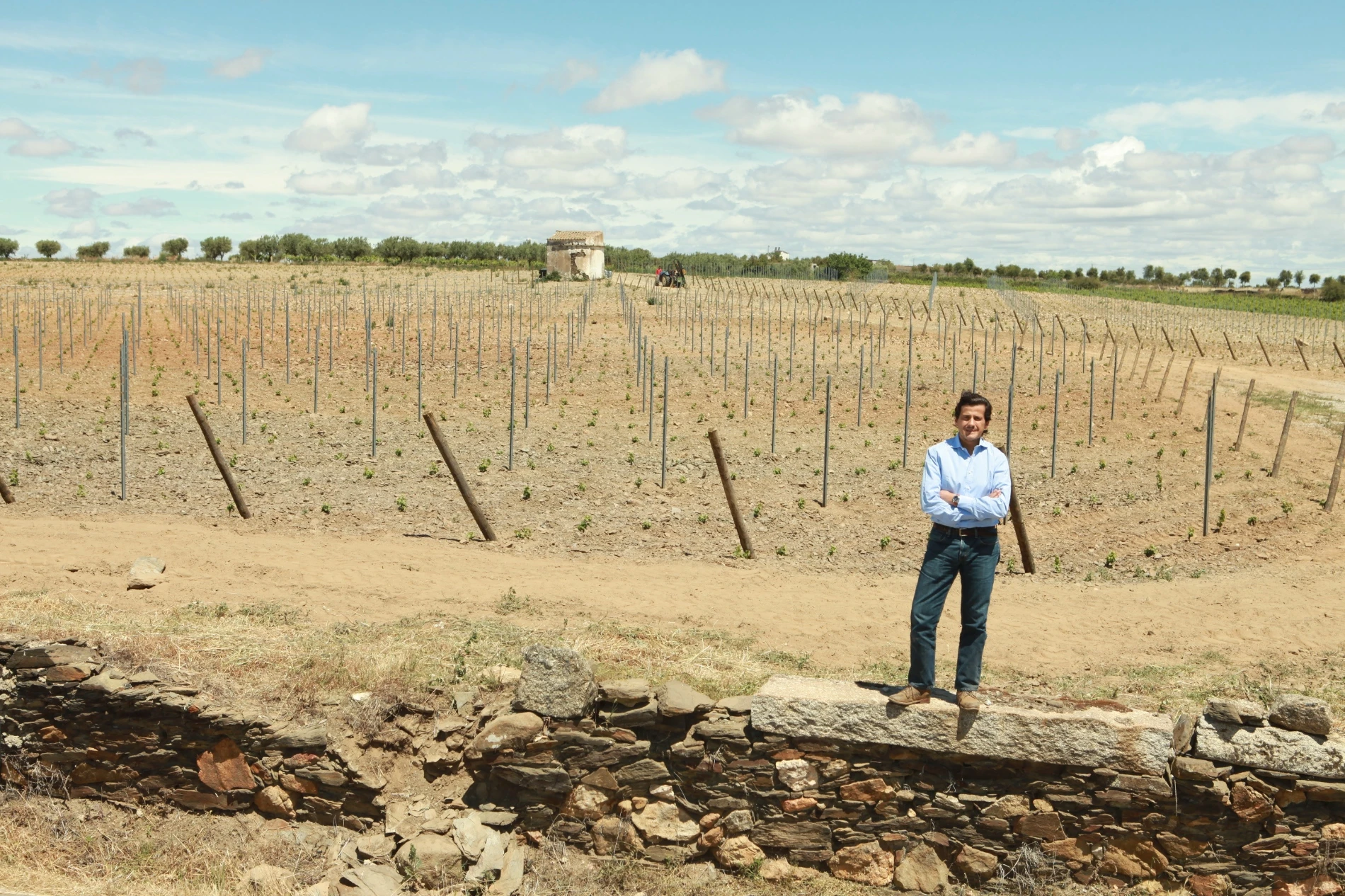 Planting of vines in Beira Interior