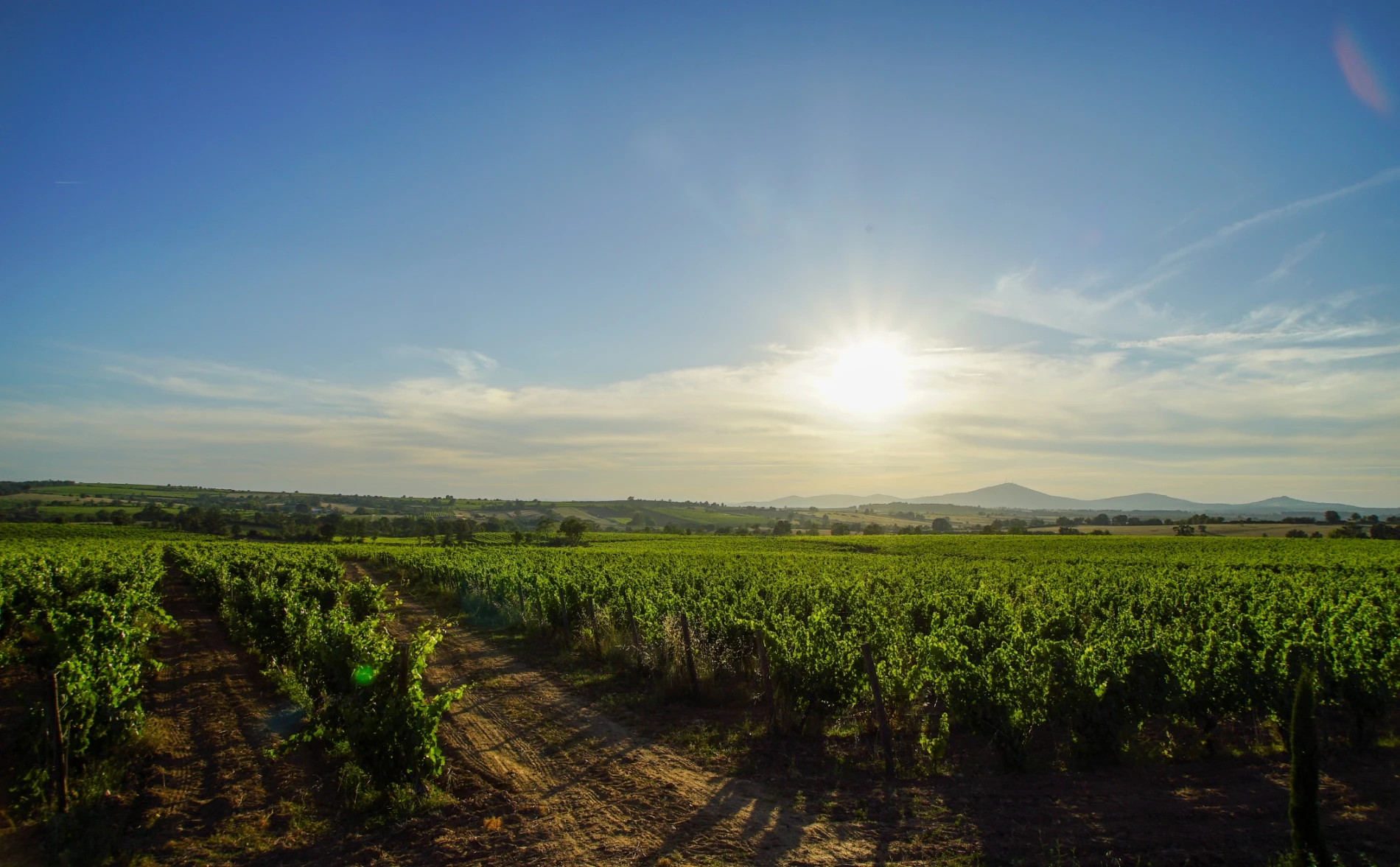 Beyra, os vinhos de altitude