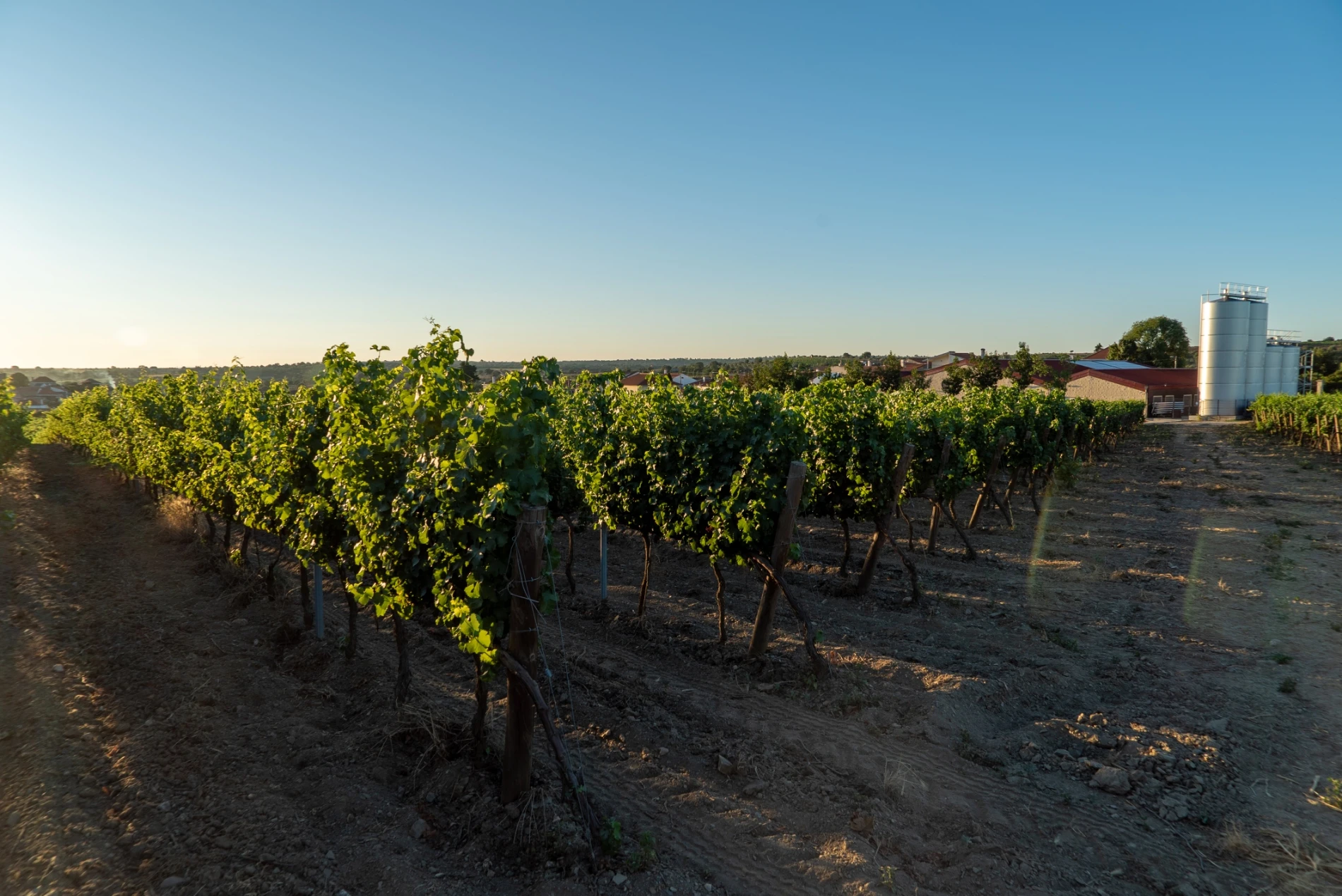 Quinta do Serro
